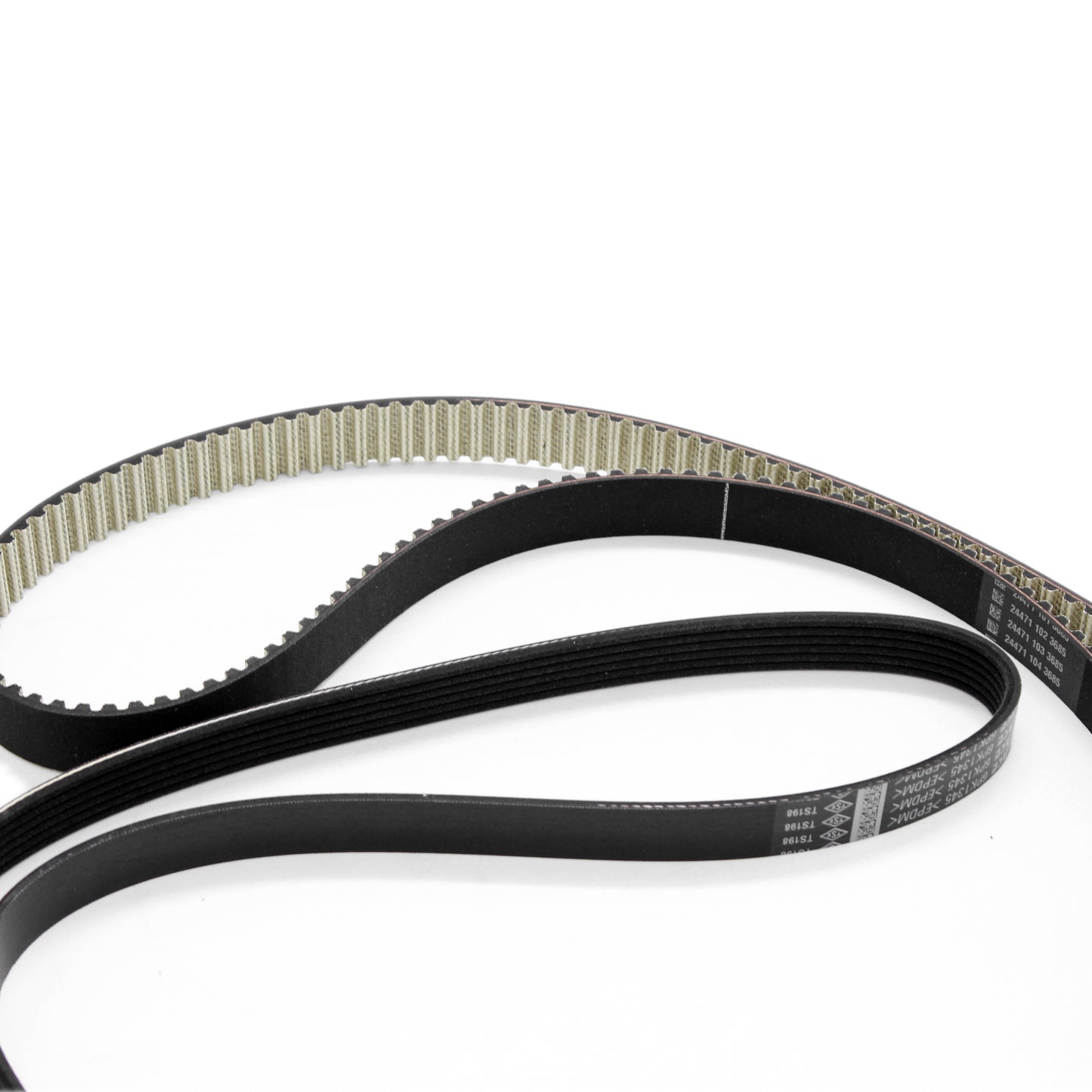 6000631715, 46341602, 46357956, 55265257, 46352133, 46341602, 55251324, 55269148, 55282321, 51856150, 24471 102 3685, 244711023685, DAYCO941194, DAYCO 941194, 73504623, 6000631712, 73504624