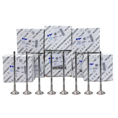 59360300, 1.6 multijet rektefiye kiti, 1.6 euro 5 rektefiye kiti, 1.6 multijet orjinal rektefiye, doblo 1.6 euro 5 rektefiye kiti, doblo 1.6 multijet rektefiye, egea 1.6 euro 5 rektefiye kiti, egea 1.6 multijet rektefiye, bravo 1.6 euro 5 rektefiye kiti, bravo 1.6 multijet rektefiye, giulietta 1.6 euro 5 rektefiye kiti, giulietta 1.6 multijet rektefiye seti, linea 1.6 euro 5 rektefiye kiti, linea 1.6 multijet rektefiye